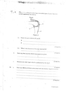 2020 Malawi School Certificate exams papers leaked; Teachers arrested
