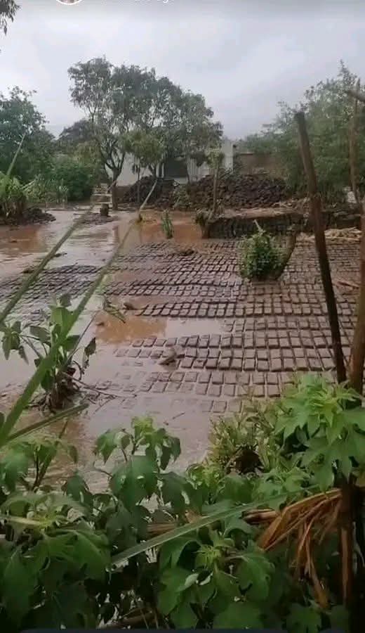 When the rains defy forecast